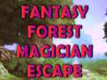 খেলা Fantasy Forest Magician Escape