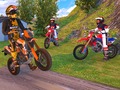 খেলা Motocross Driving Simulator