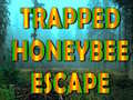 খেলা Trapped Honeybee Escape