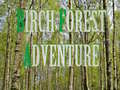 খেলা Birch Forest Adventure