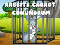 খেলা Rabbits Carrot Conundrum