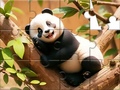 খেলা Jigsaw Puzzle: Panda On Tree