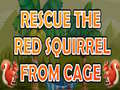 খেলা Rescue The Red Squirrel From Cage