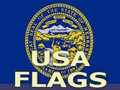 খেলা Usa Flags 