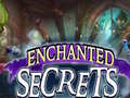 খেলা Enchanted Secrets