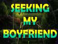 খেলা Seeking My Boyfriend