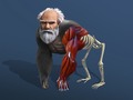 খেলা Idle Evolution From Cell To Human