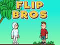 খেলা Flip Bros