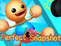 খেলা Perfect Snapshot