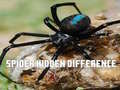 খেলা Spider Hidden Difference