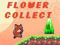 খেলা Flower Collect