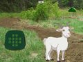 খেলা Goat Find The Child