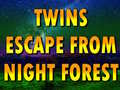 খেলা Twins Escape From Night Forest