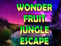 খেলা Wonder Fruit Jungle Escape