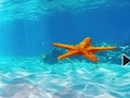 খেলা Escape From Underwater Starfish