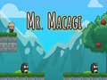 খেলা Mr Macagi