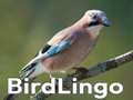 খেলা BirdLingo