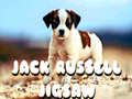 খেলা Jack Russell Jigsaw