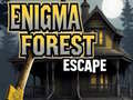 খেলা Enigma Forest Escape