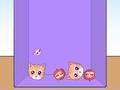 খেলা Evolution of Cat Memes