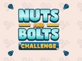 খেলা Nuts and Bolts Challenge