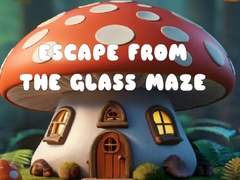 খেলা Escape from the Glass Maze