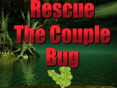 খেলা Rescue The Couple Bug