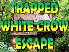 খেলা Trapped White Crow Escape