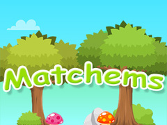 খেলা Matchems