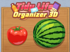 খেলা Tidy Life Organizer 3D
