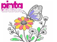 খেলা Pinta Colour