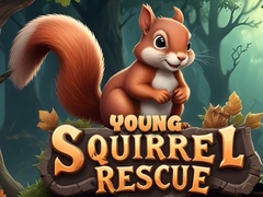 খেলা Young Squirrel Rescue