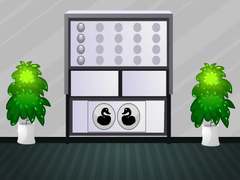 খেলা White House Escape