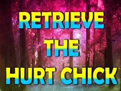 খেলা Retrieve The Hurt Chick