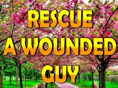 খেলা Rescue A Wounded Guy
