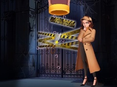 খেলা Pin Detective
