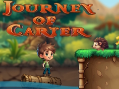 খেলা Journey Of Carter