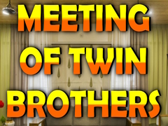 খেলা Wow Meeting of Twin Brothers