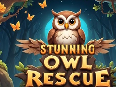খেলা Stunning Owl Rescue
