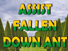 খেলা  Assist Fallen Down Ant