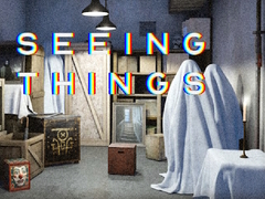 খেলা Seeing Things