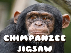 খেলা Chimpanzee Jigsaw
