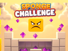 খেলা Sponge Challenge