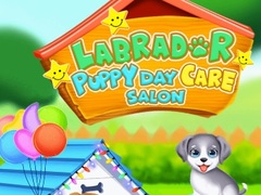 খেলা Labrador Puppy Daycare Salon