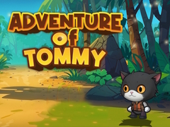 খেলা Advanture Of Tommy