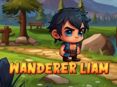 খেলা Wanderer Liam
