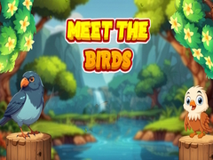 খেলা Meet The Birds 