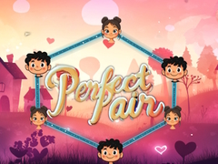 খেলা Perfect Pair