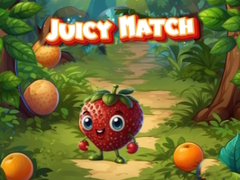 খেলা Juicy Match