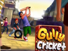 খেলা Gully Cricket